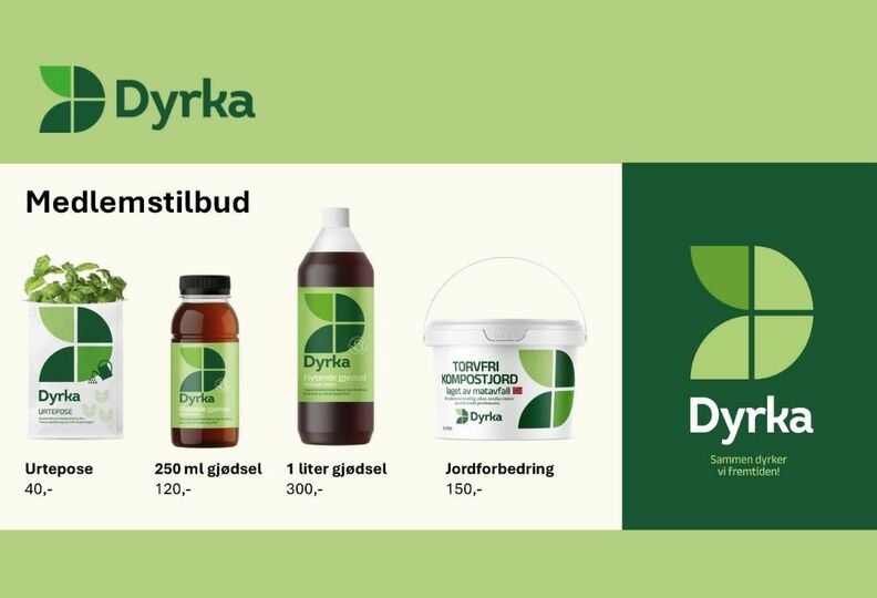 Dyrka
